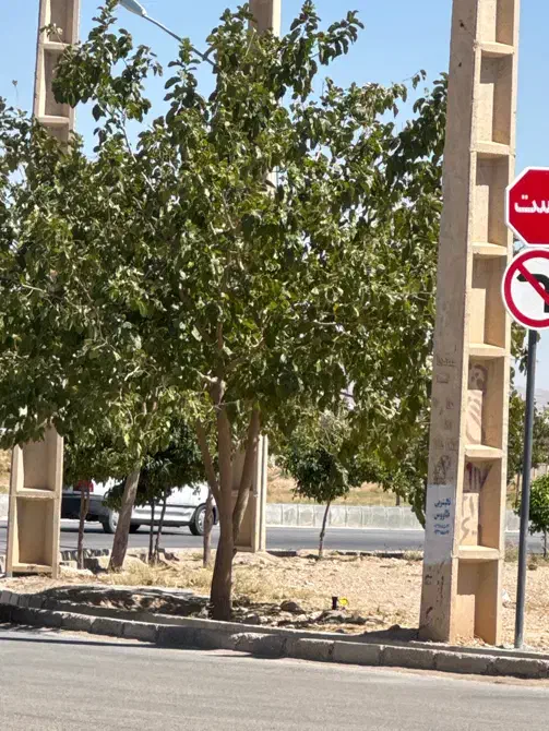 فروش زمین ۲۰۰ متری در شهرک صادقیه|فروش زمین و ملک کلنگی|شیراز, شهرک صادقیه|دیوار