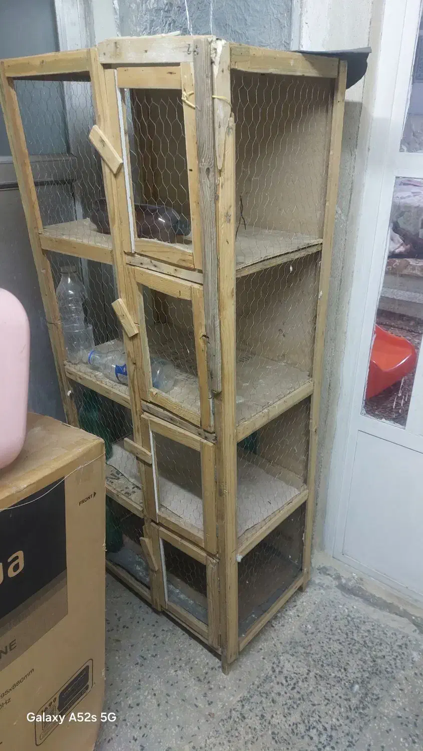 قفس کفتر|لوازم جانبی حیوانات|قلعه نو, |دیوار