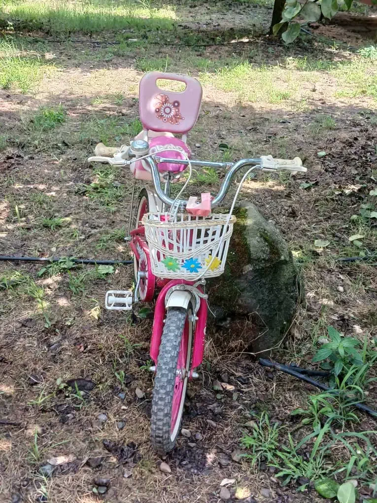 دوچرخه سایز ۱۶|دوچرخه، اسکیت، اسکوتر|رشت, انصاری|دیوار