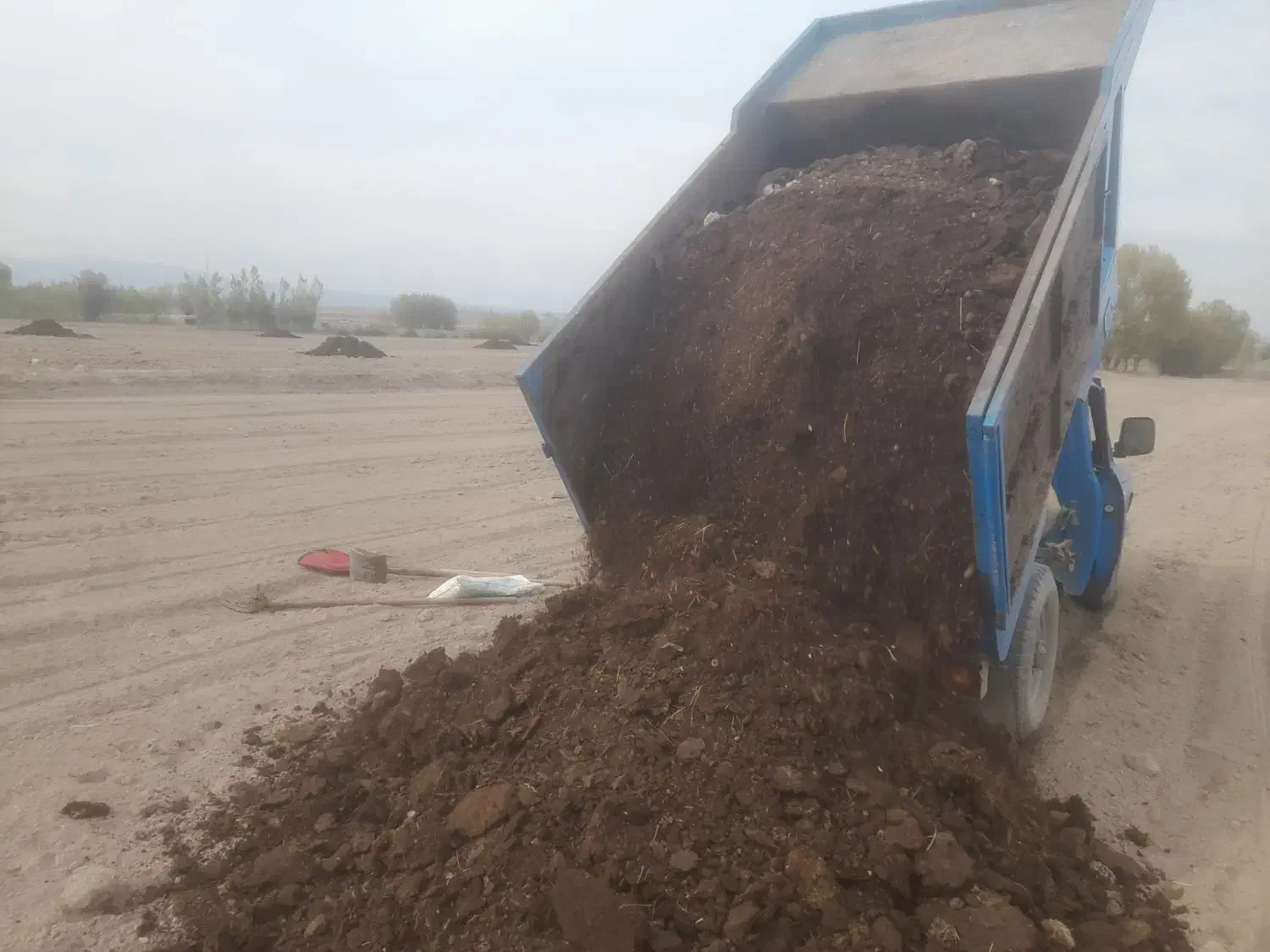 فروش کود گاوی|خدمات باغبانی و درختکاری|اردبیل, |دیوار