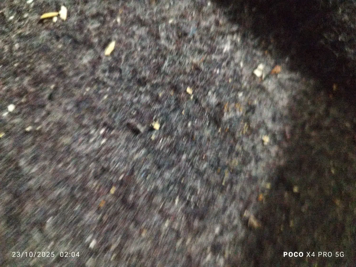 فروش لباس کهنه|لباس|سیرجان, |دیوار