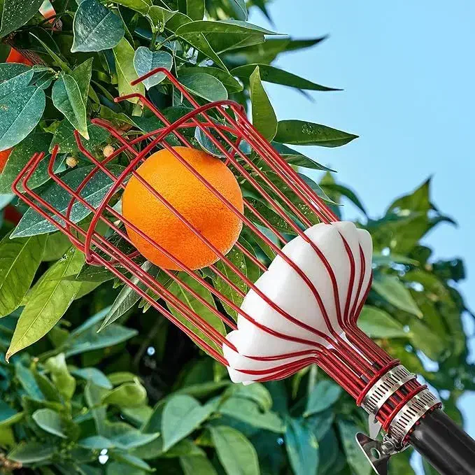 میوه چین سبدی فلزی|ابزارآلات|شهریار, شهریار|دیوار