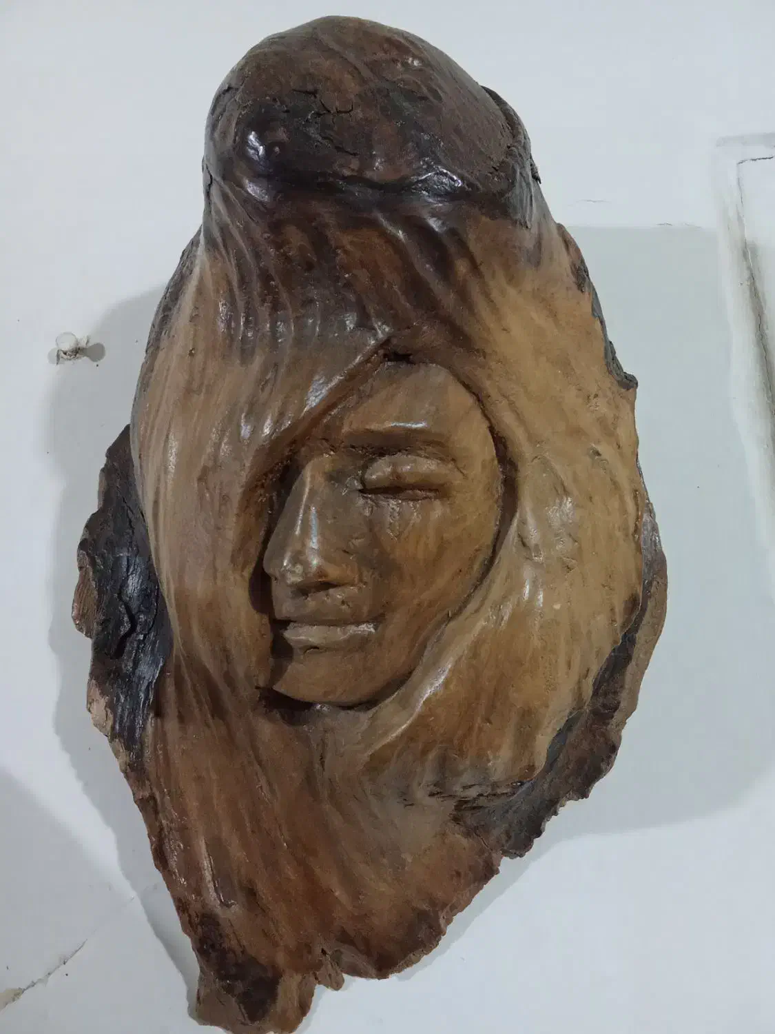 اشک چوب|مجسمه، تندیس، ماکت|تهران, خاک سفید|دیوار