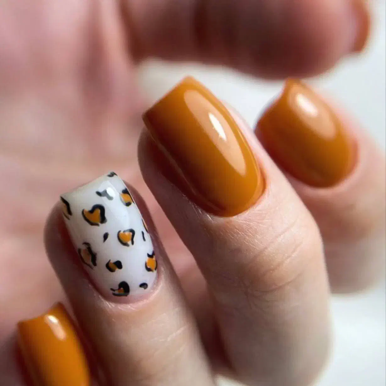 کاشت ناخن و ترمیم اموزش ببین پیش خودم استخدام شو|خدمات آرایشگری و زیبایی|هشتگرد, شهرک راه آهن|دیوار