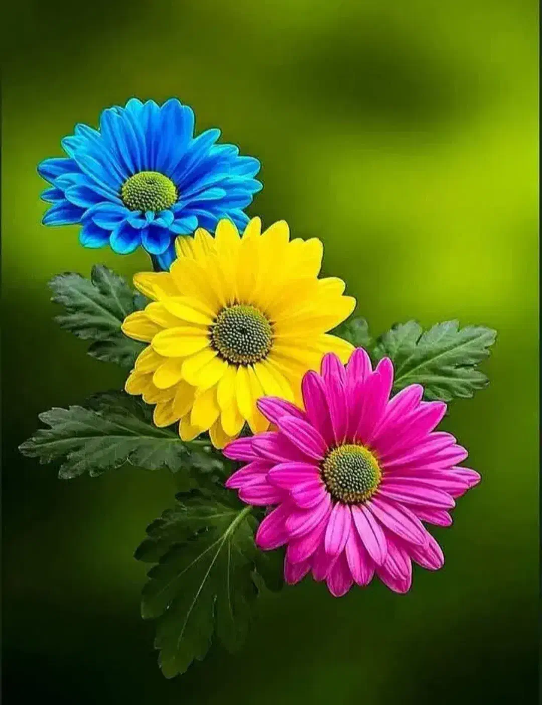 سرگر می|فعالیت داوطلبانه تحقیقاتی|تهران, آهنگ|دیوار