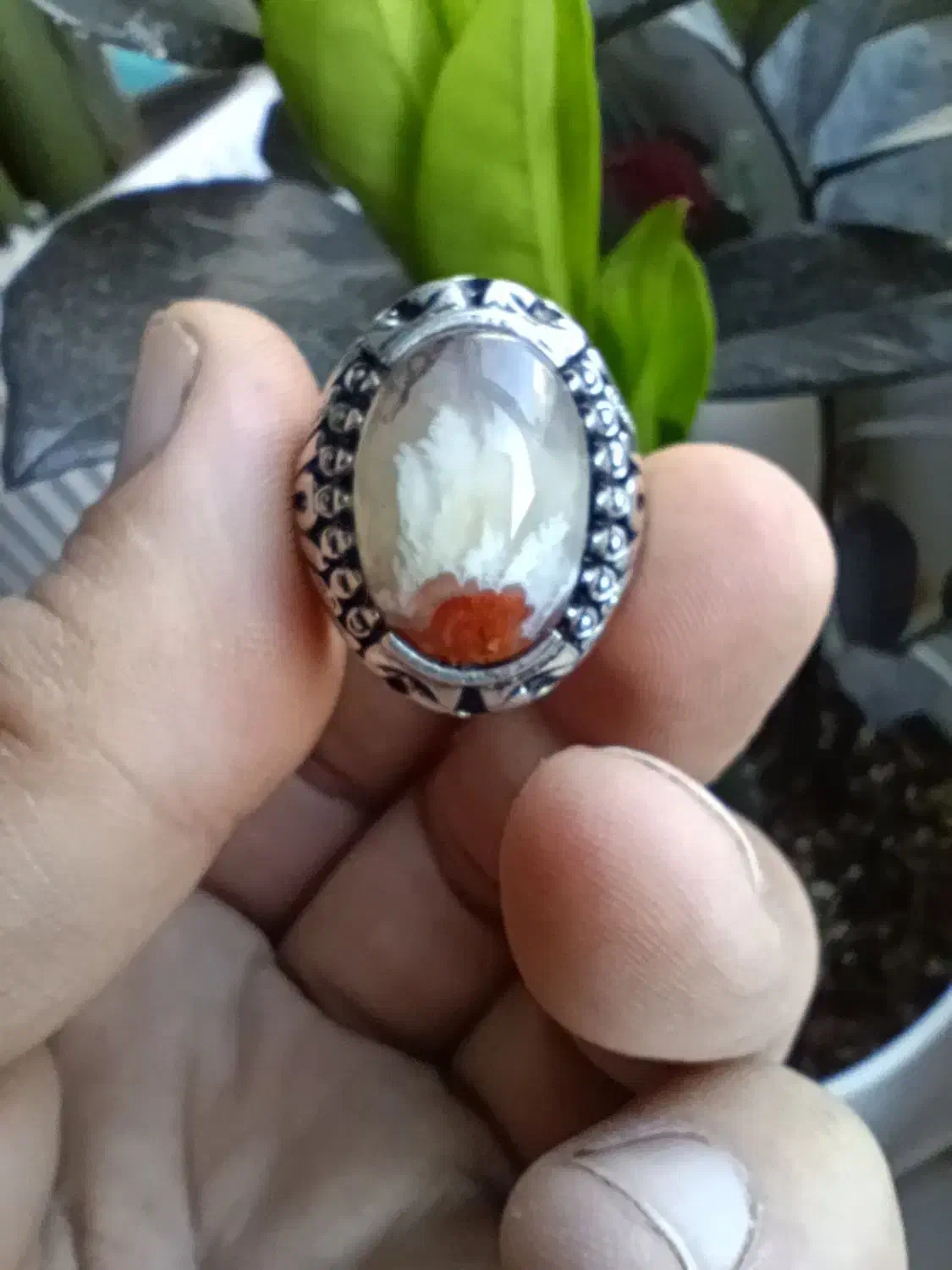 انگشتر شجر|جواهرات|پیشوا, |دیوار