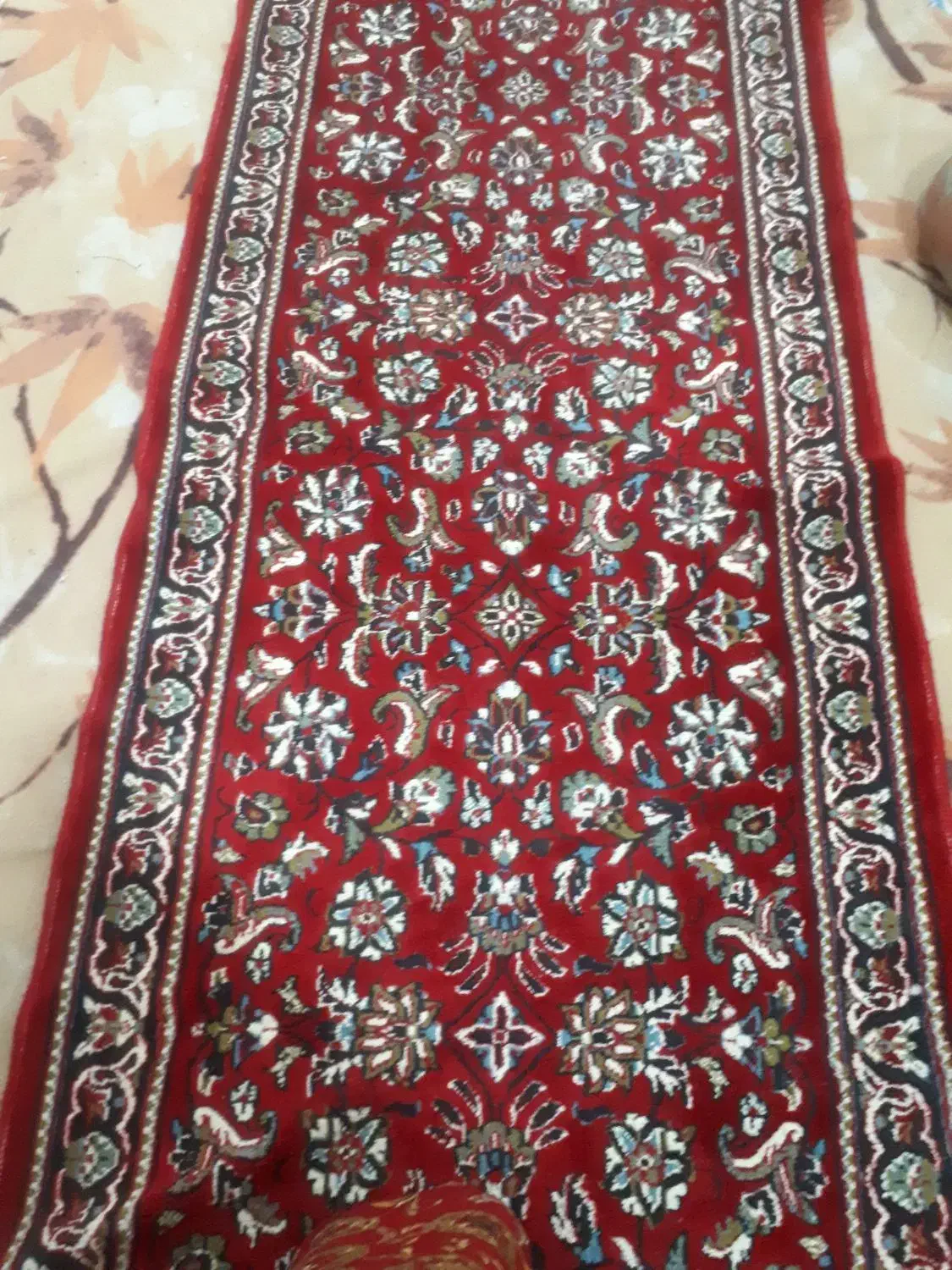 دوتا قالی راهرویی|فرش|اهواز, منبع اب|دیوار