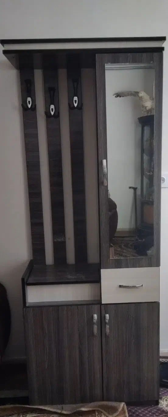 جاکفشی در حد نو|جاکفشی، کمد، دراور|سبزوار, چهارراه فرودگاه|دیوار