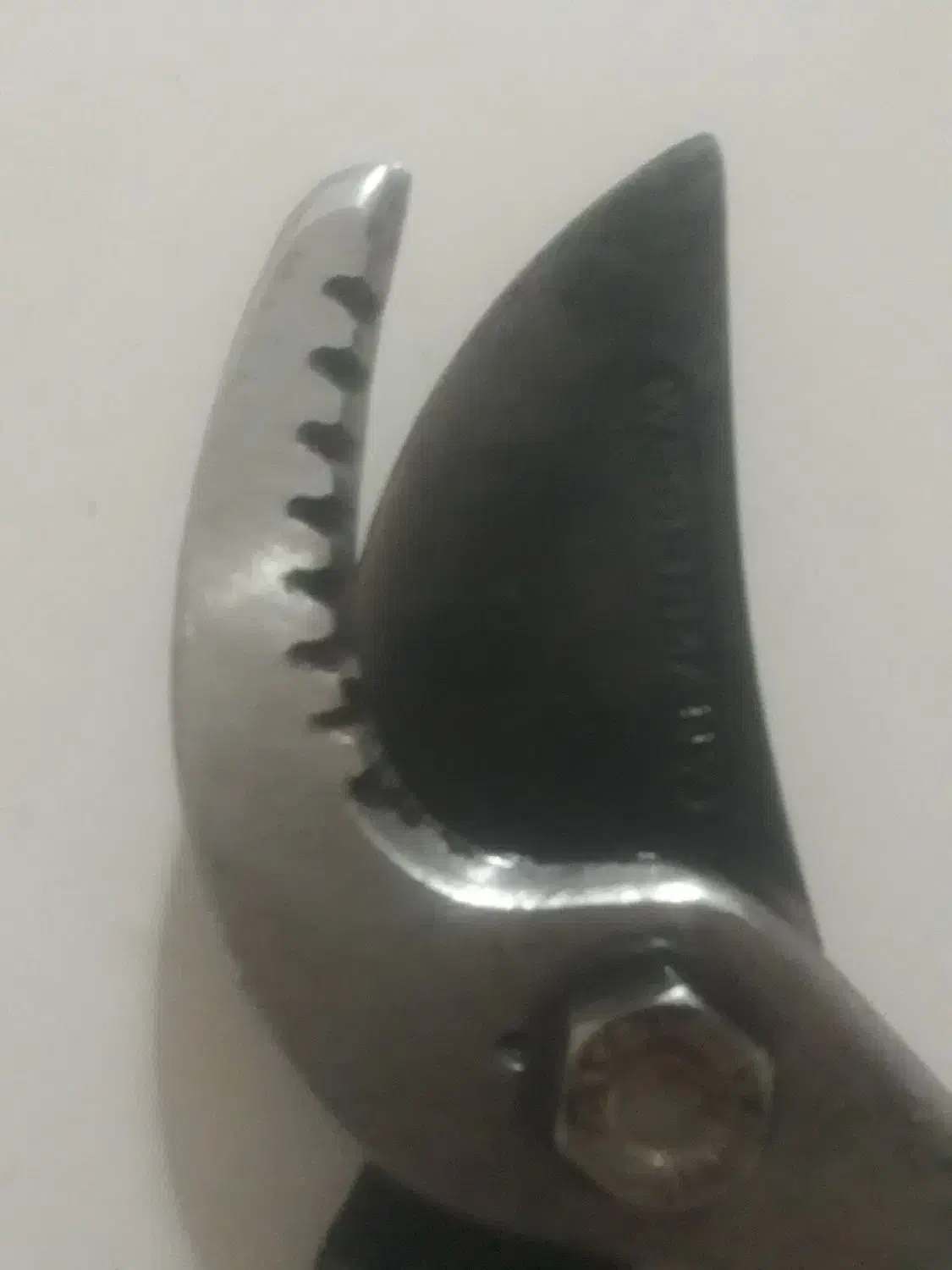 قیچی باغ دسته بلند|ابزارآلات|ساری, |دیوار