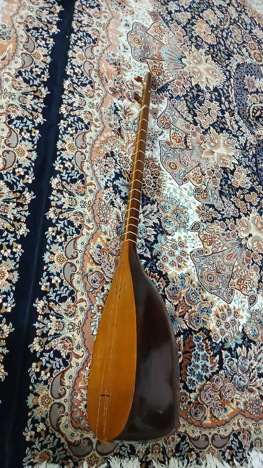 تنبور  کاسه ای|سازهای سنتی|نهاوند, |دیوار