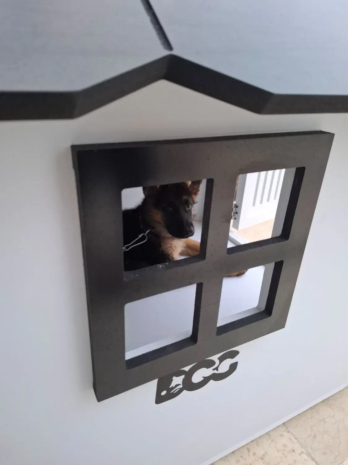 لانه ی سگ نژاد بزرگ|لوازم جانبی حیوانات|آمل, |دیوار