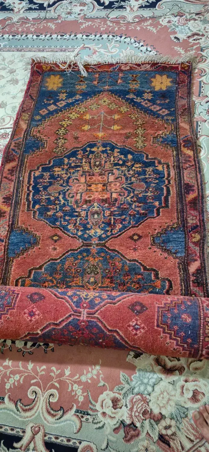 فرش دستباف|فرش|شیراز, نصر|دیوار