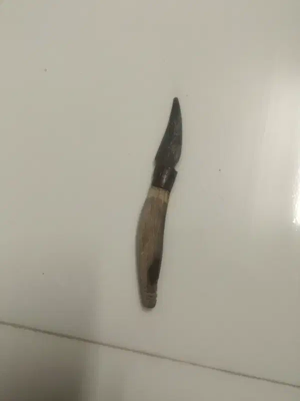 مفت مفت|بدلیجات|قائن, |دیوار