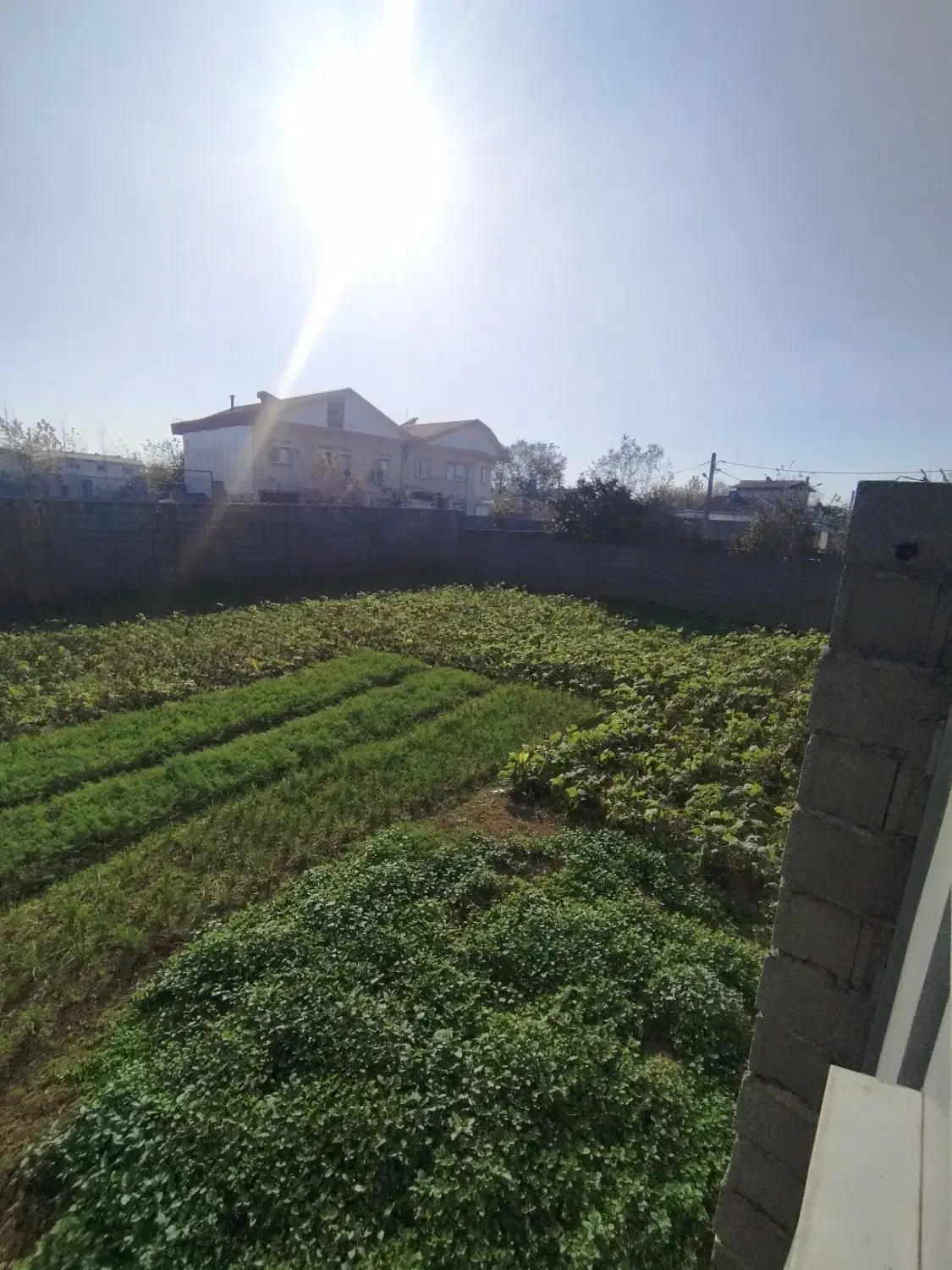 فروش زمین ۳۰۰متری سند دار دور دیوار در رشت آتشگاه|فروش زمین و ملک کلنگی|رشت, آتشگاه|دیوار