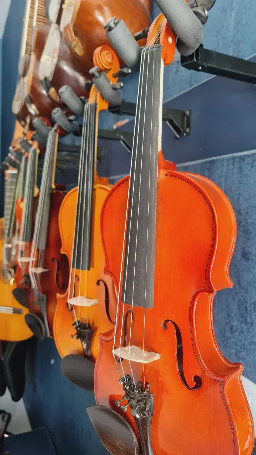 گالری موسیقی نوا|سازهای سنتی|نیشابور, شهرک فرهنگیان|دیوار