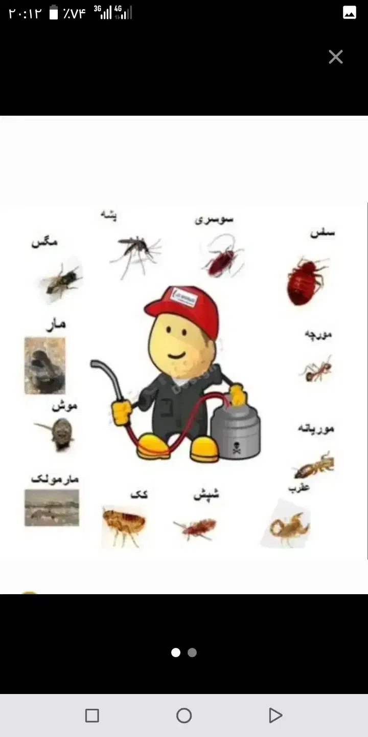 راهنمایی از بین بردن ساس و دیگر حشرات|فعالیت داوطلبانه|قم, یزدانشهر|دیوار