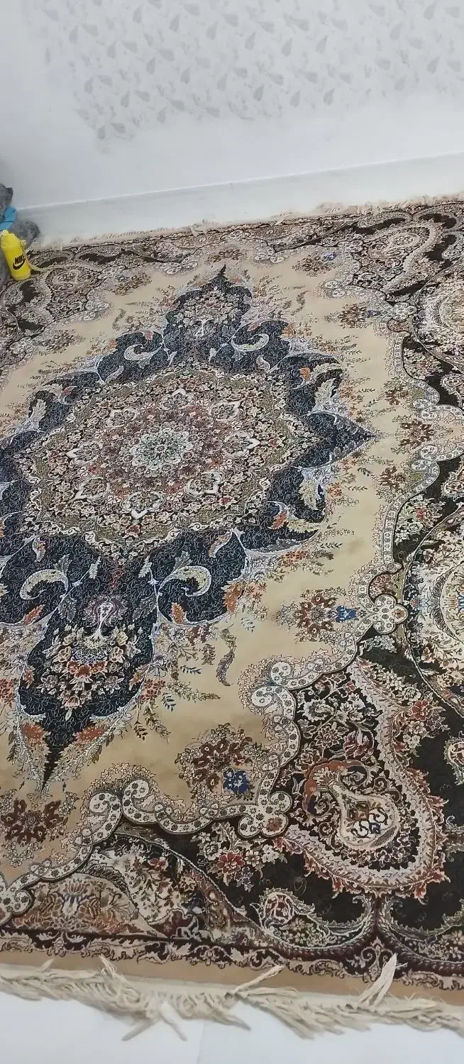 فرش ماشینی ۶متری|فرش|کرمانشاه, |دیوار