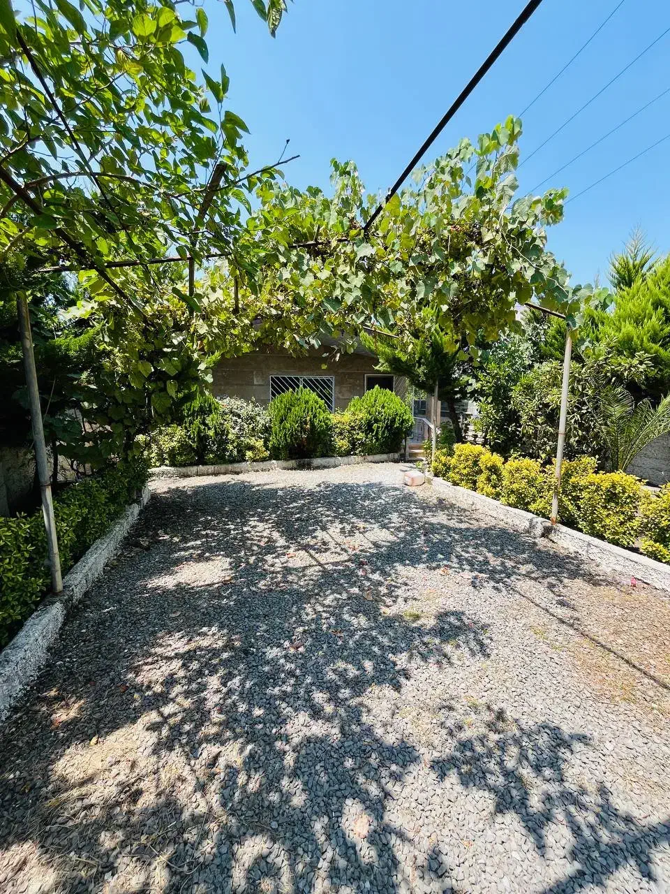 ویلا تو دل جنگل میخوای فقط کافیه بهم زنگ بزنی|فروش خانه و ویلا|محمودآباد, |دیوار