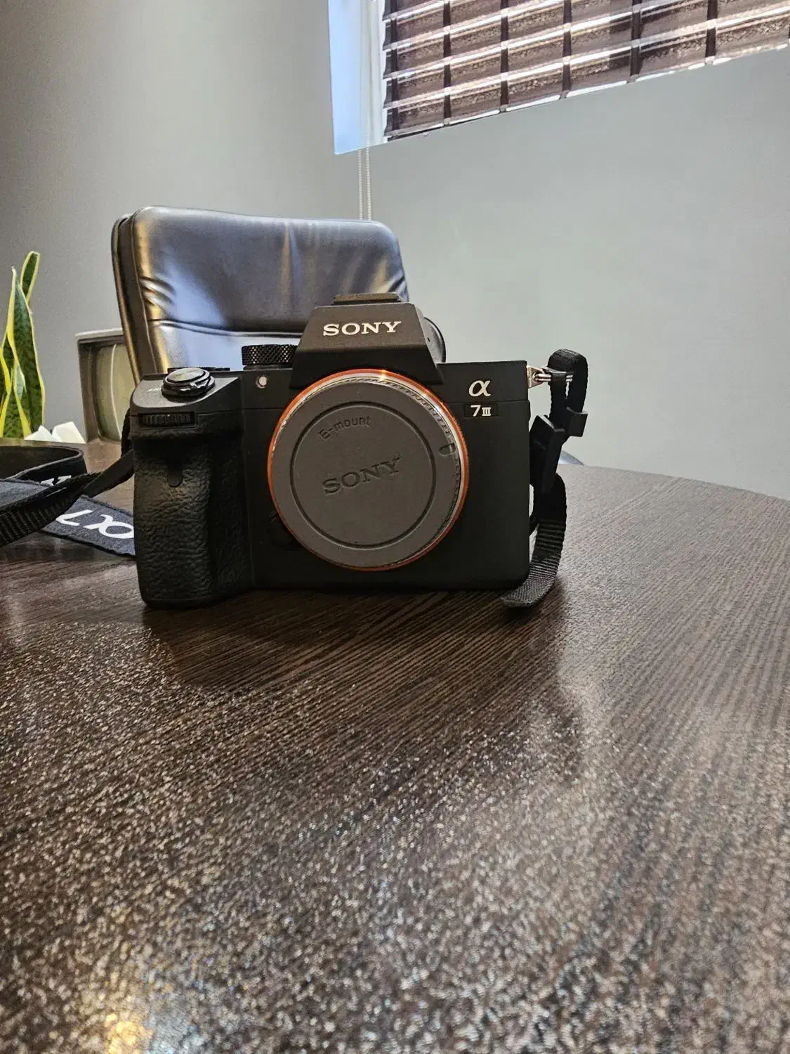 فروش دوربین|دوربین عکاسی و فیلم‌برداری|یزد, |دیوار