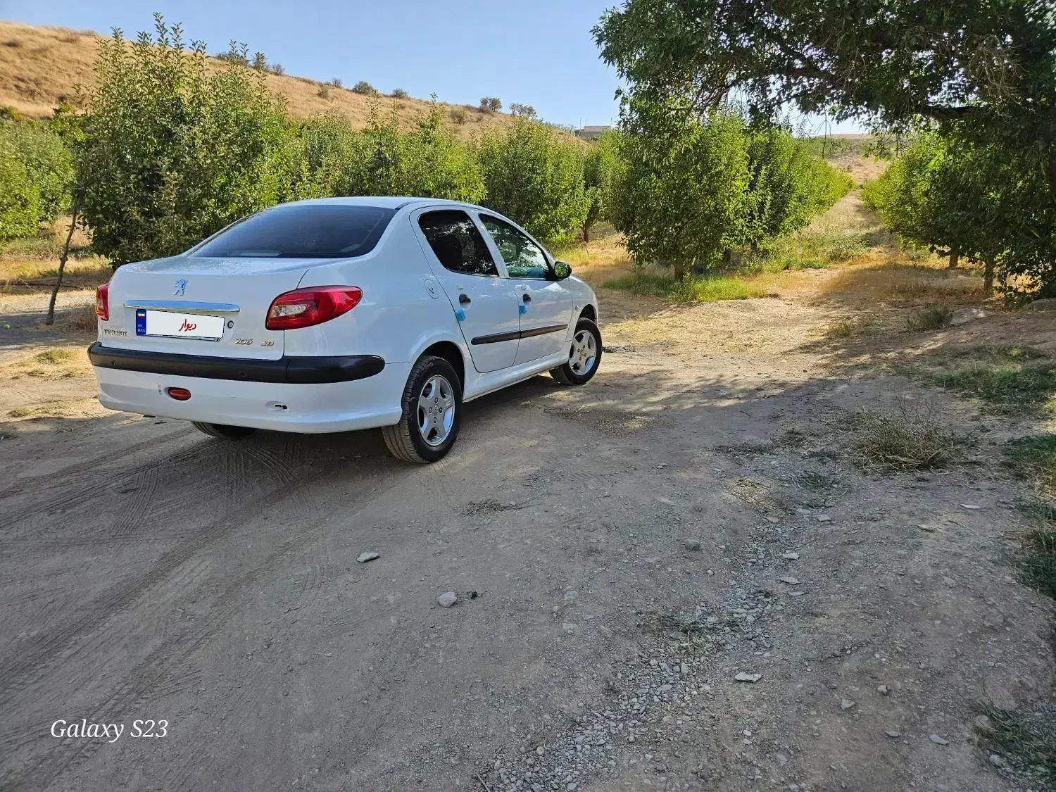 ۲۰۶ sd  درجه  ۱  ،  فول  مدل ۹۷|خودرو سواری و وانت|مهاباد (آذربایجان غربی), |دیوار