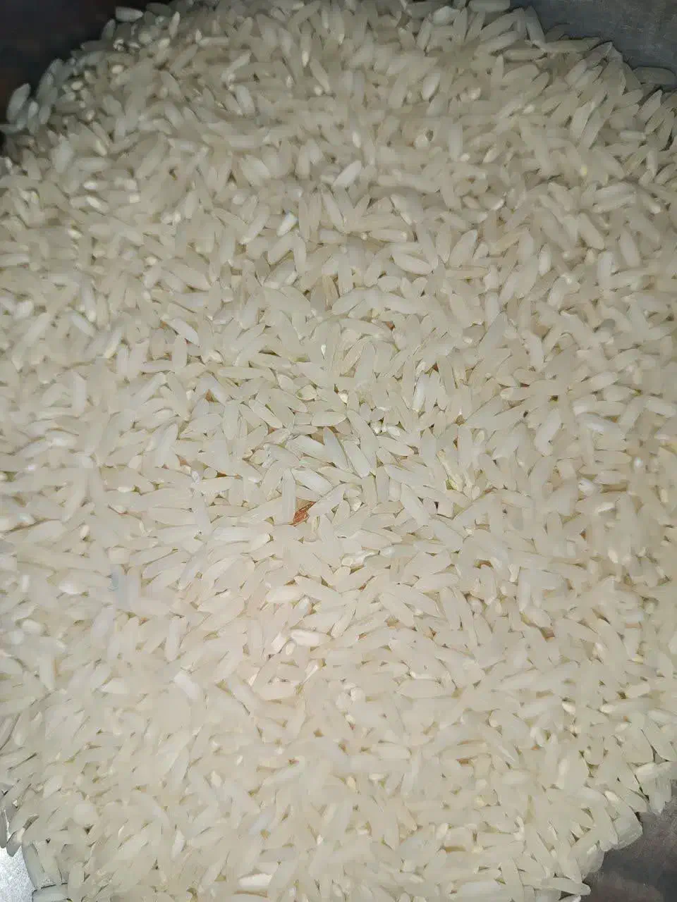 برنج هاشمی به شرط پخت|خوردنی و آشامیدنی|ری, علایین|دیوار