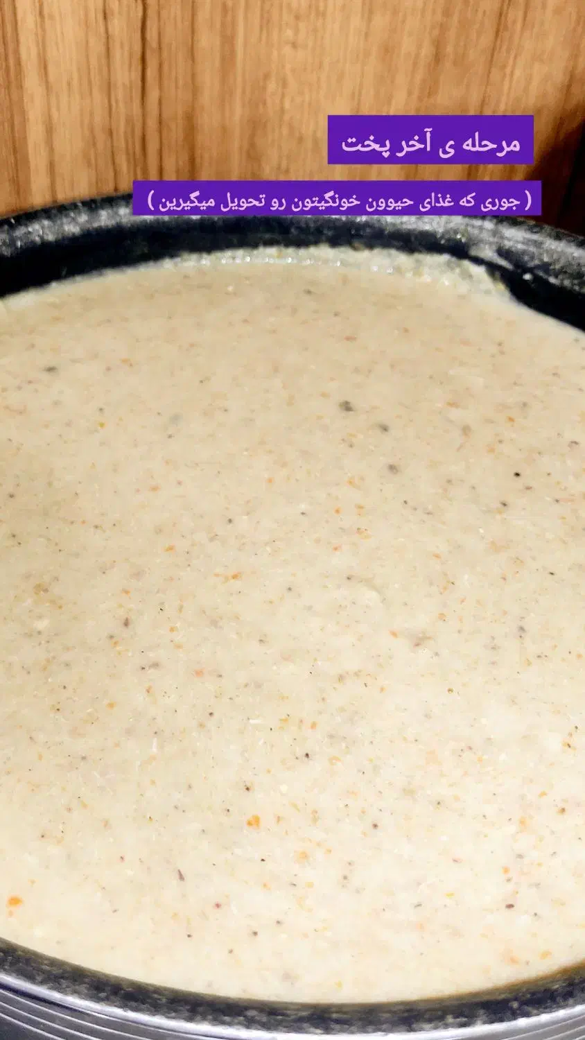 تهیه غذای خونگی سگ و گربه میشنا|لوازم جانبی حیوانات|بجنورد, |دیوار