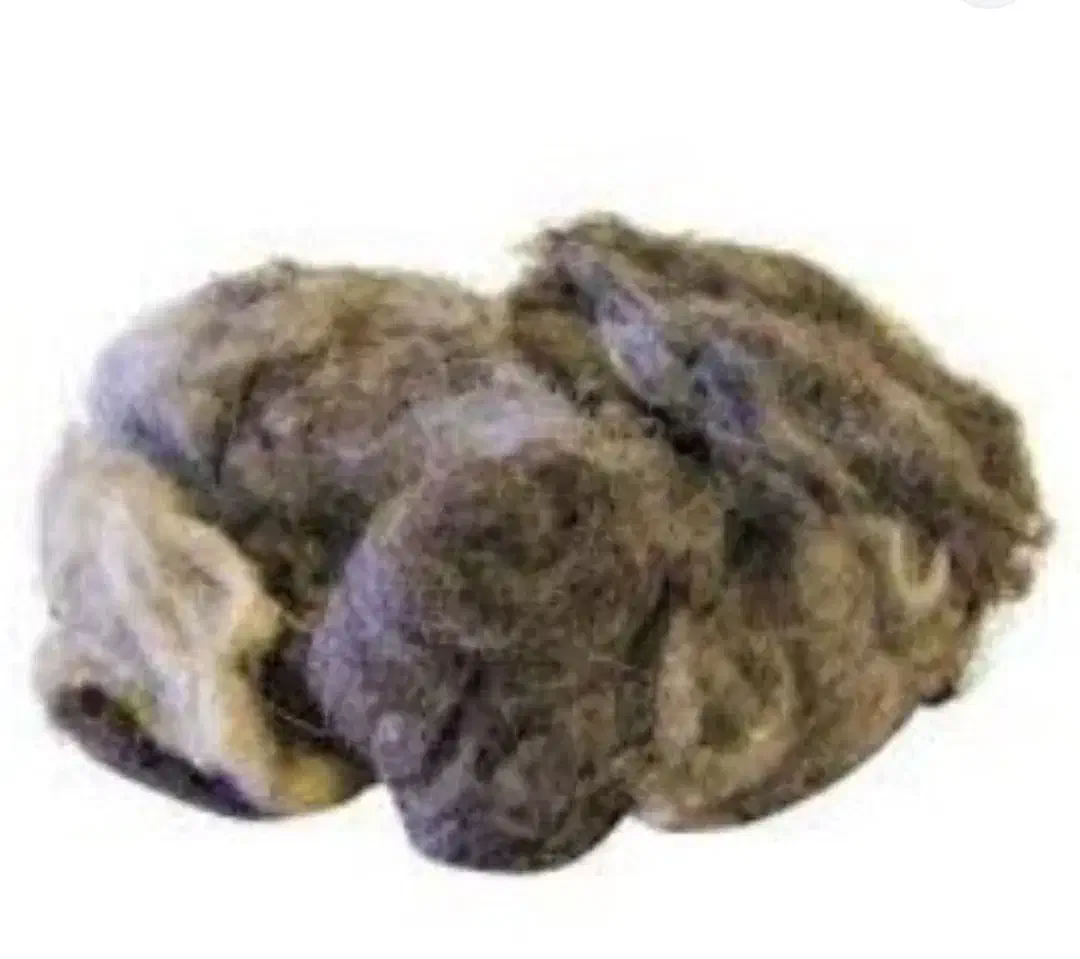 پشم گوسفند شسته شده بهاره|رختخواب، بالش، پتو|قزوین, |دیوار