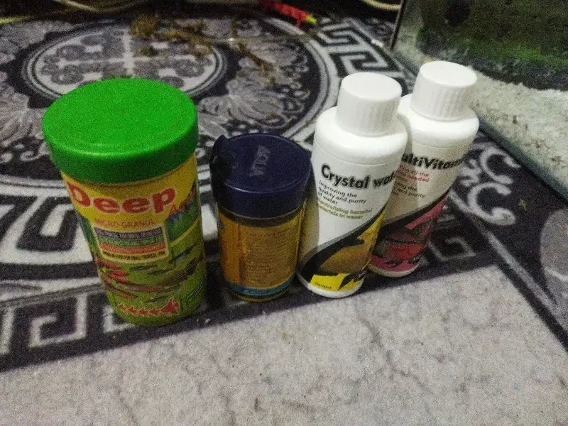 آکواریوم بزرگ شیشه خم شرکتی|ماهی|پاکدشت, پاکدشت (مامازند)|دیوار