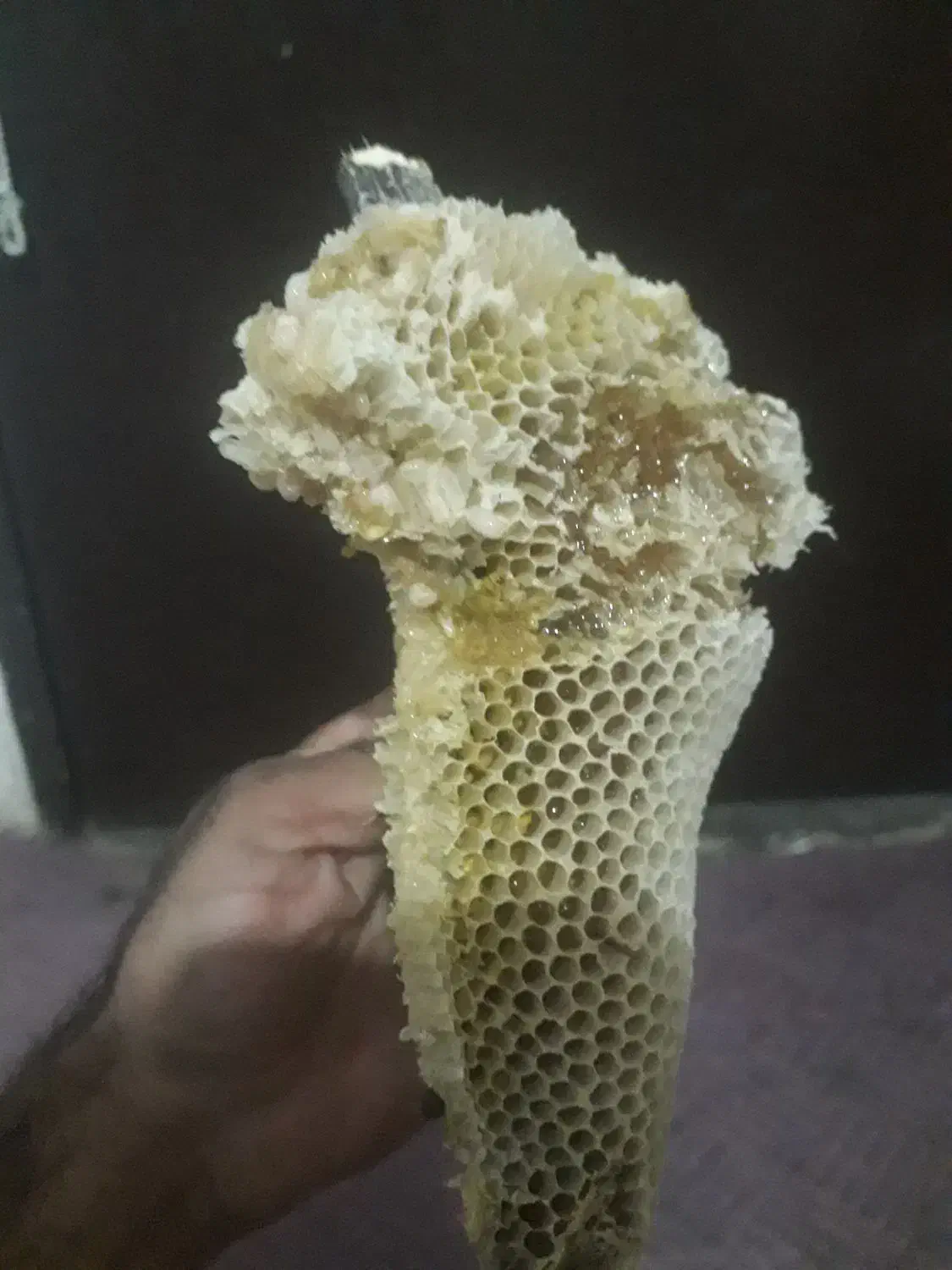 عسل خوب|خوردنی و آشامیدنی|کیش, |دیوار