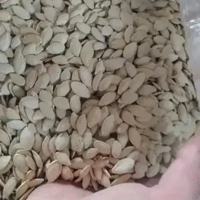 تقریبا ۱۵ کیلو تخمه کدو درشت درجه یک|خوردنی و آشامیدنی|مشگین شهر, |دیوار