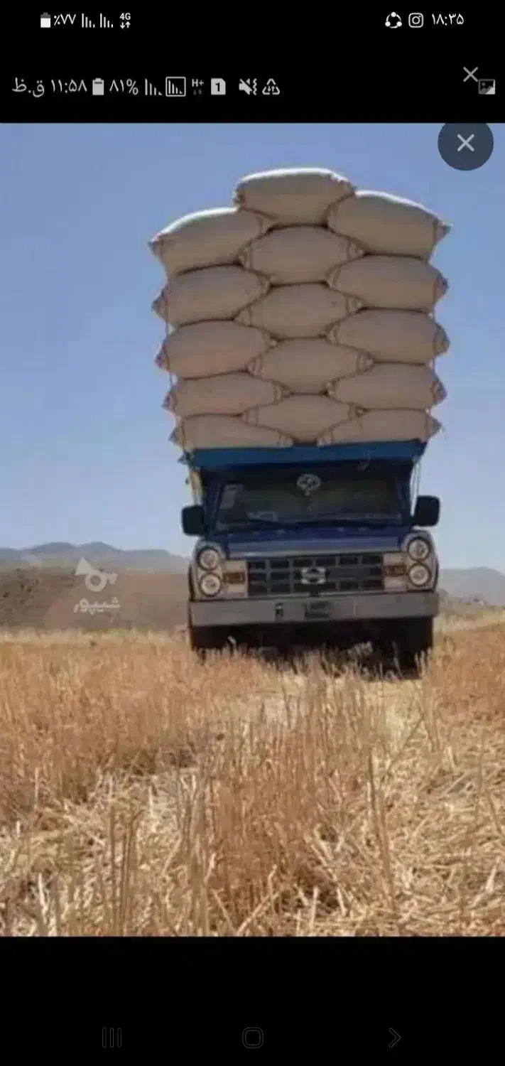 کاه نخود و گرگرو|لوازم جانبی حیوانات|کوهدشت, |دیوار