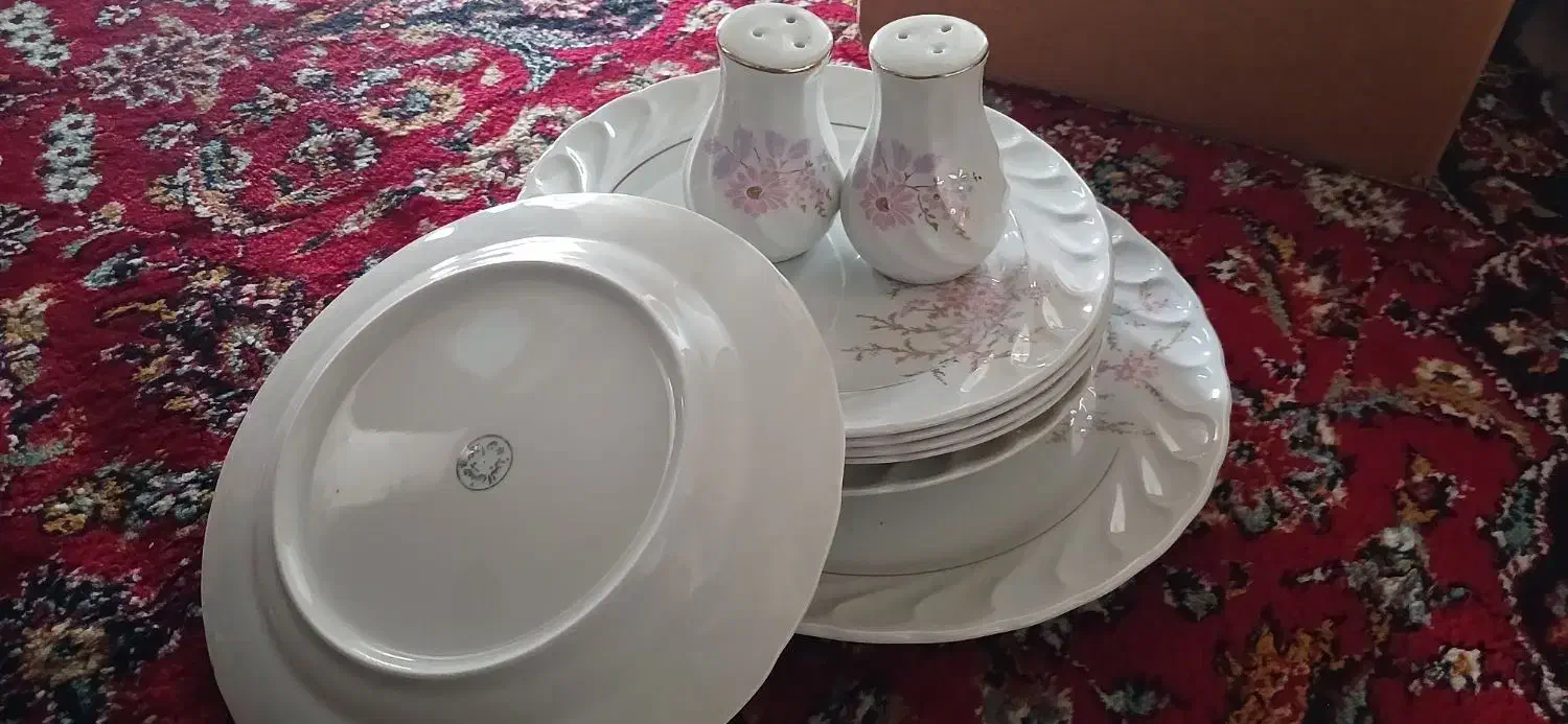 چینی|ظروف سرو و پذیرایی|قزوین, |دیوار