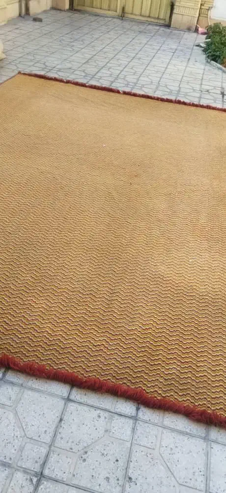 تعدادی موکت 12متری|موکت|شیراز, لاله|دیوار