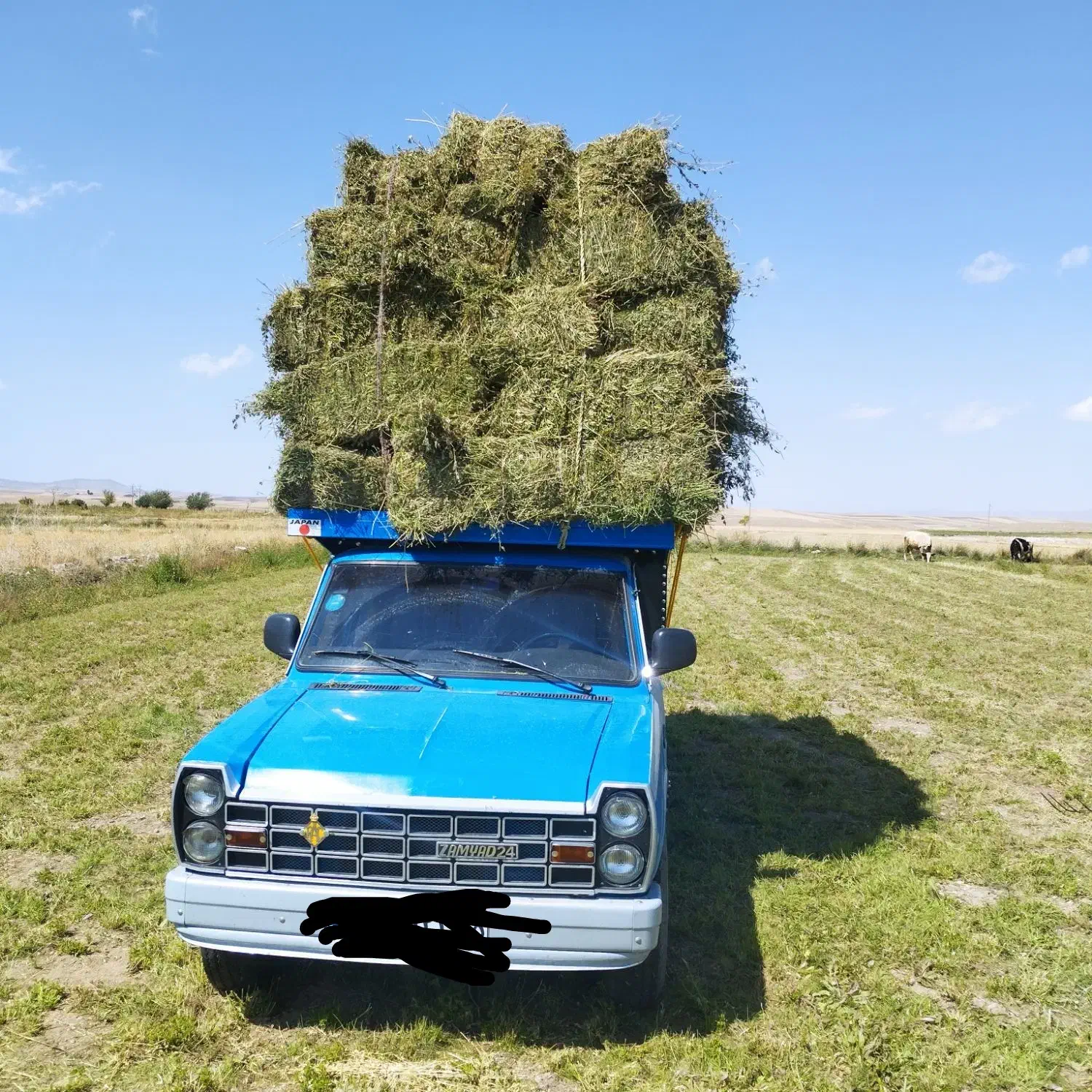 حمل بار با نیسان|خدمات حمل و نقل|بستان آباد, |دیوار