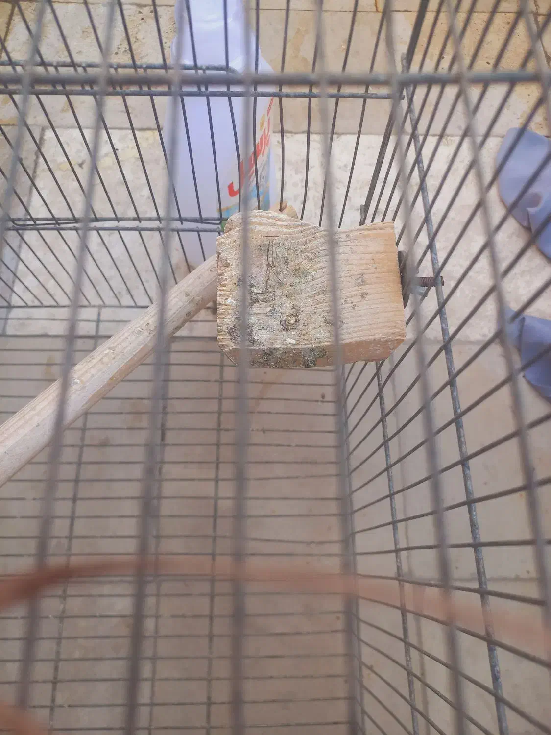 قفس|لوازم جانبی حیوانات|قم, شهرک امام حسین|دیوار