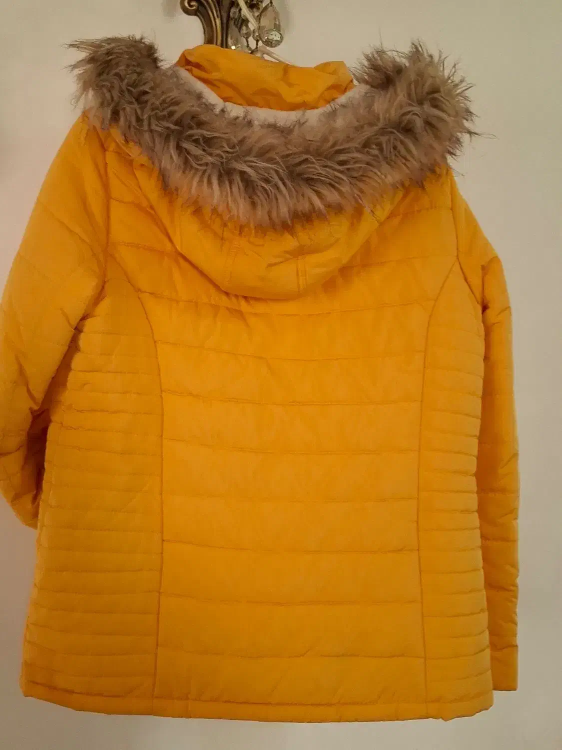 کاپشن خارجی|لباس|چالوس, |دیوار