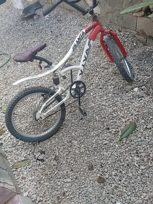 دوچرخه 20|دوچرخه، اسکیت، اسکوتر|جهرم, |دیوار