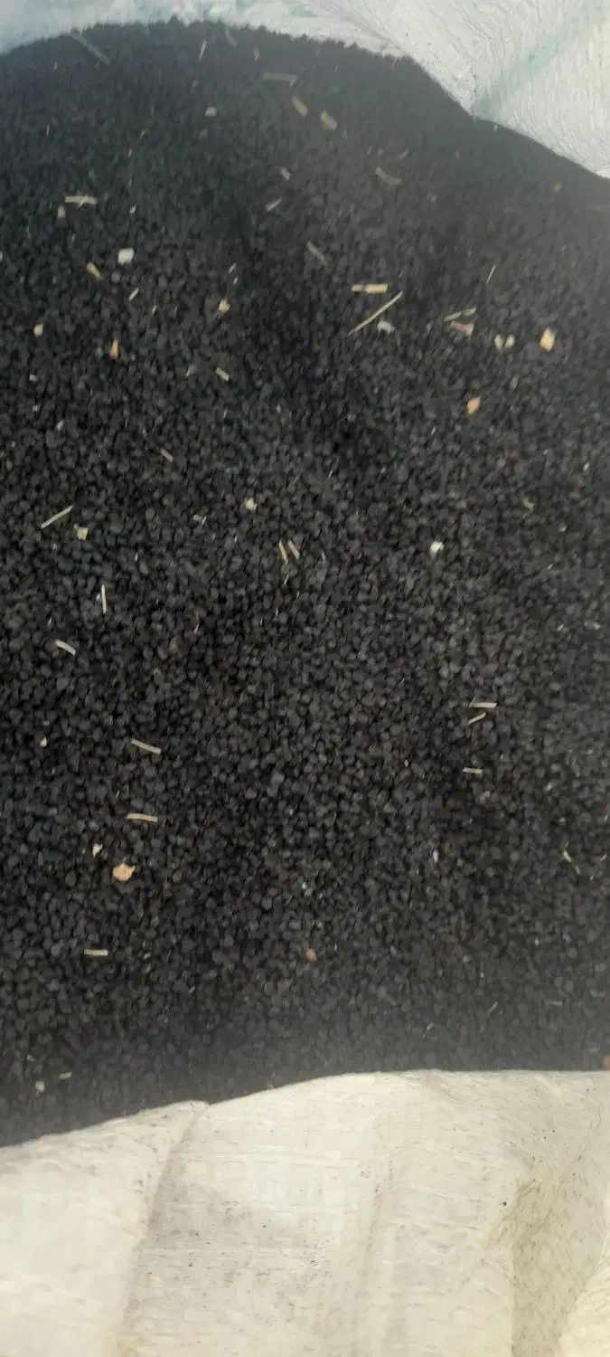 بذر پیاز مرغوب قرمزقیمت مناسب|خدمات باغبانی و درختکاری|کازرون, |دیوار