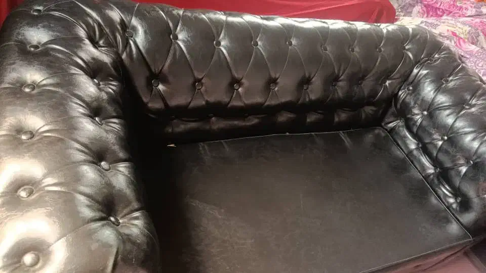 مبل چستر اصل|مبلمان خانگی و میز عسلی|میناب, |دیوار