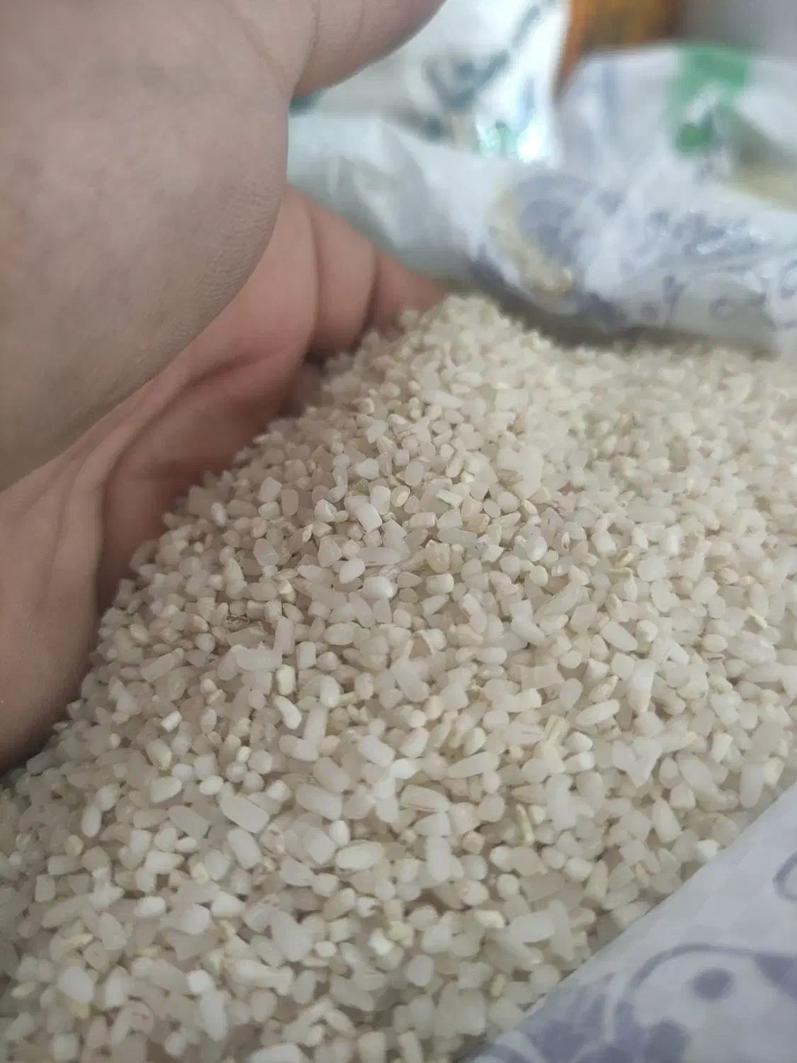 برنج کامفیروز بشرط|خوردنی و آشامیدنی|اصفهان, شیخ اشراق|دیوار