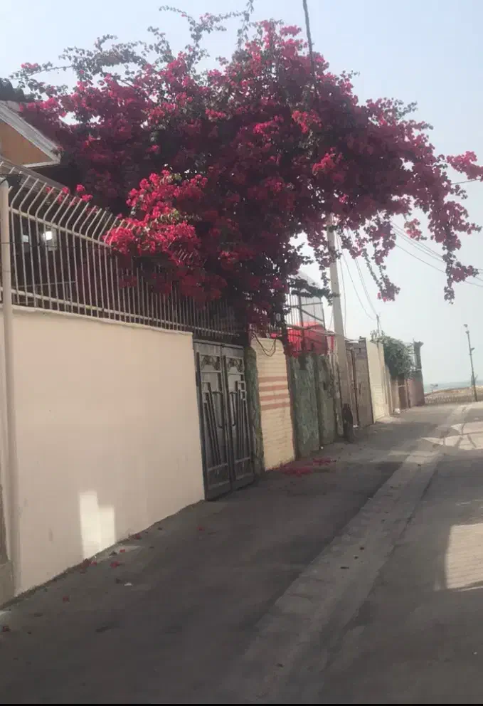 ویلای دوخواب دربست نزدیک‌به دریا|اجارهٔ کوتاه‌مدت ویلا و باغ|فریدون‌کنار, |دیوار