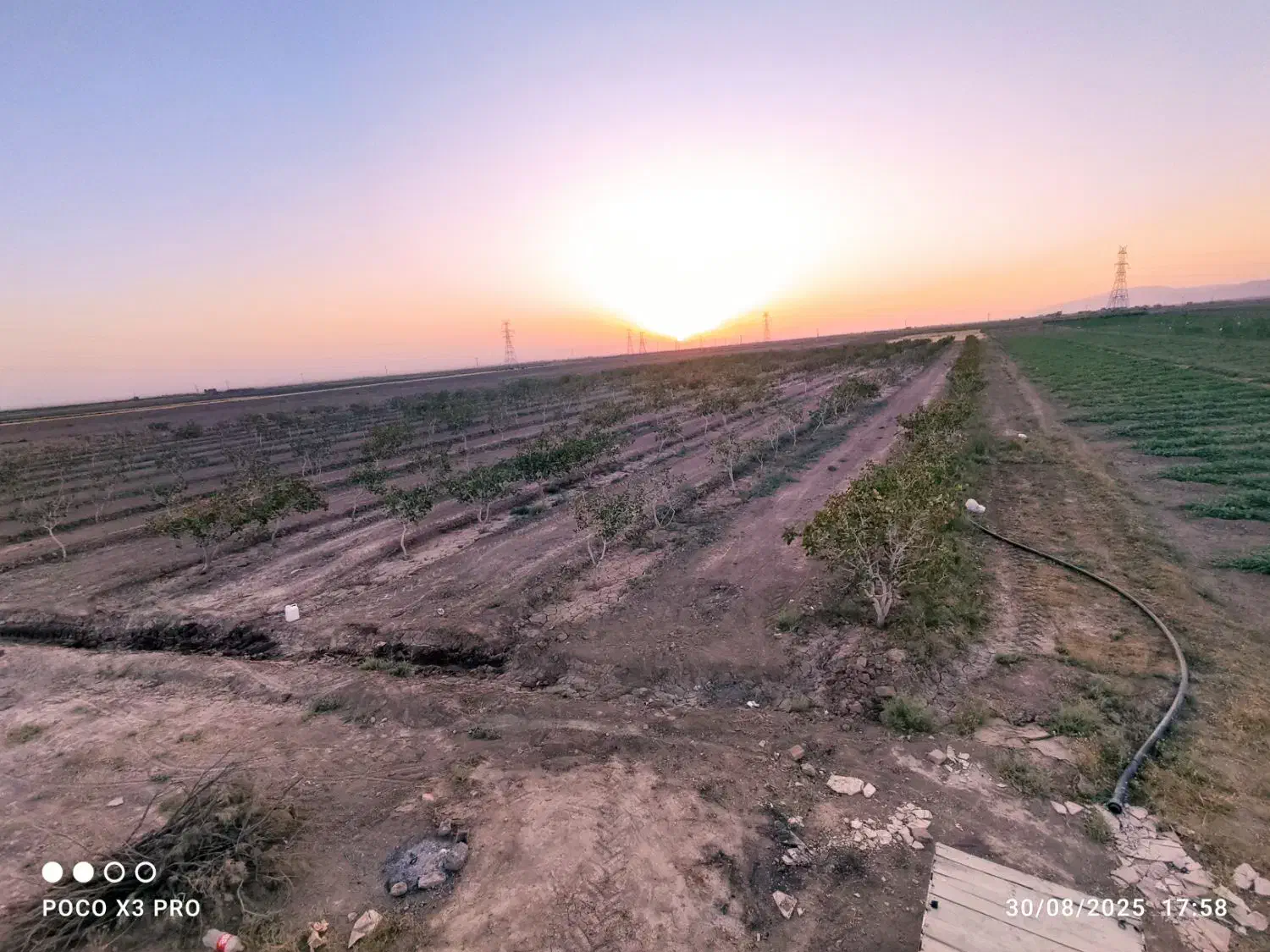 1هکتار باغ پسته نوع پیوند بادمی سفید|فروش دفتر صنعتی، کشاورزی، تجاری|نیشابور, مازول|دیوار