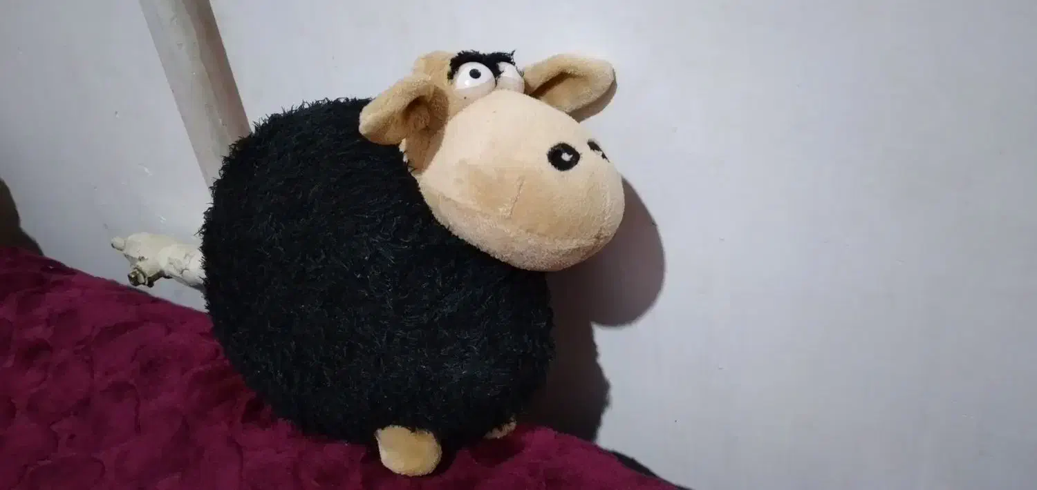 عروسک|اسباب‌بازی بچه|کرمانشاه, |دیوار