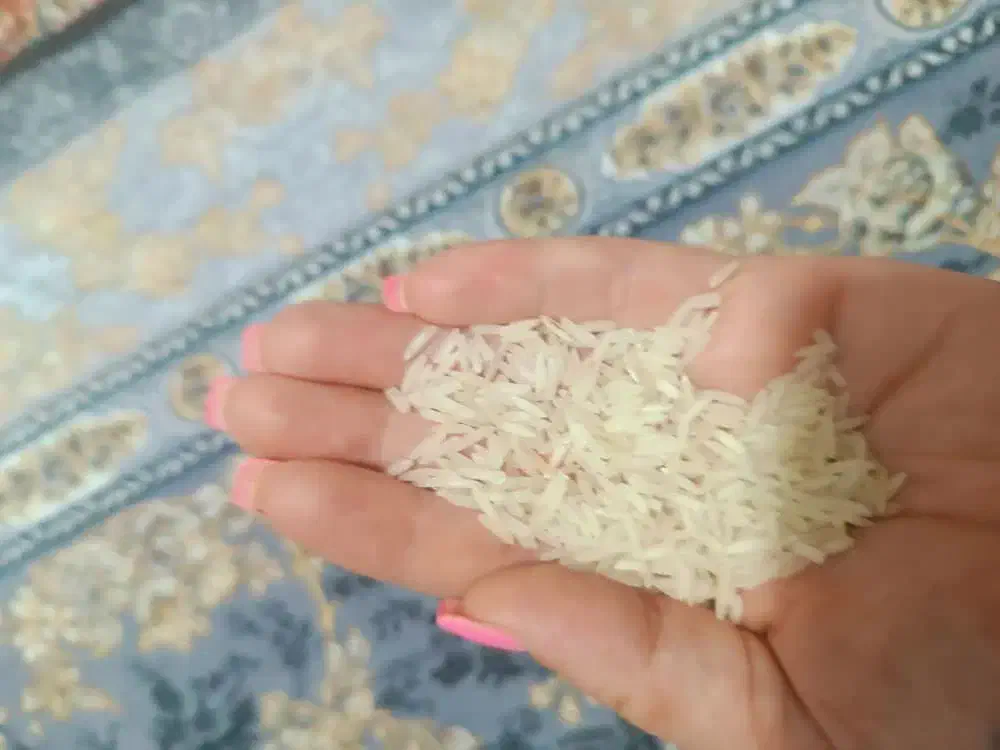 هاشمی،سرلاشه دانه درشت هاشمیدودی،سرگل باتخفیف ویژه|خوردنی و آشامیدنی|کرج, حسن آباد|دیوار