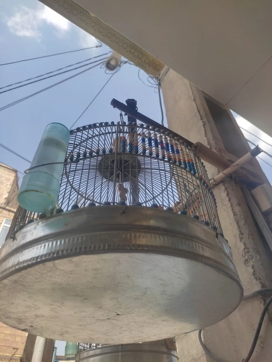سهره|پرنده|مشهد, منزل آباد|دیوار