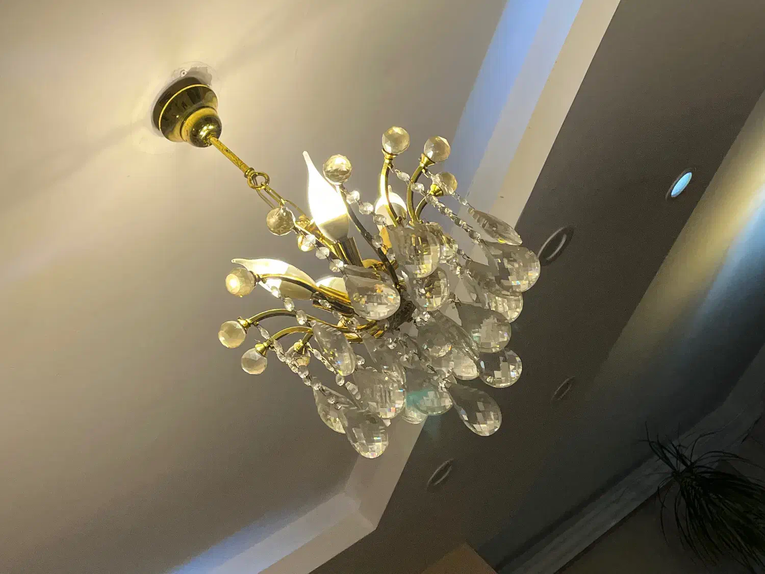 لوستر|لوستر و چراغ آویز|رشت, باهنر|دیوار