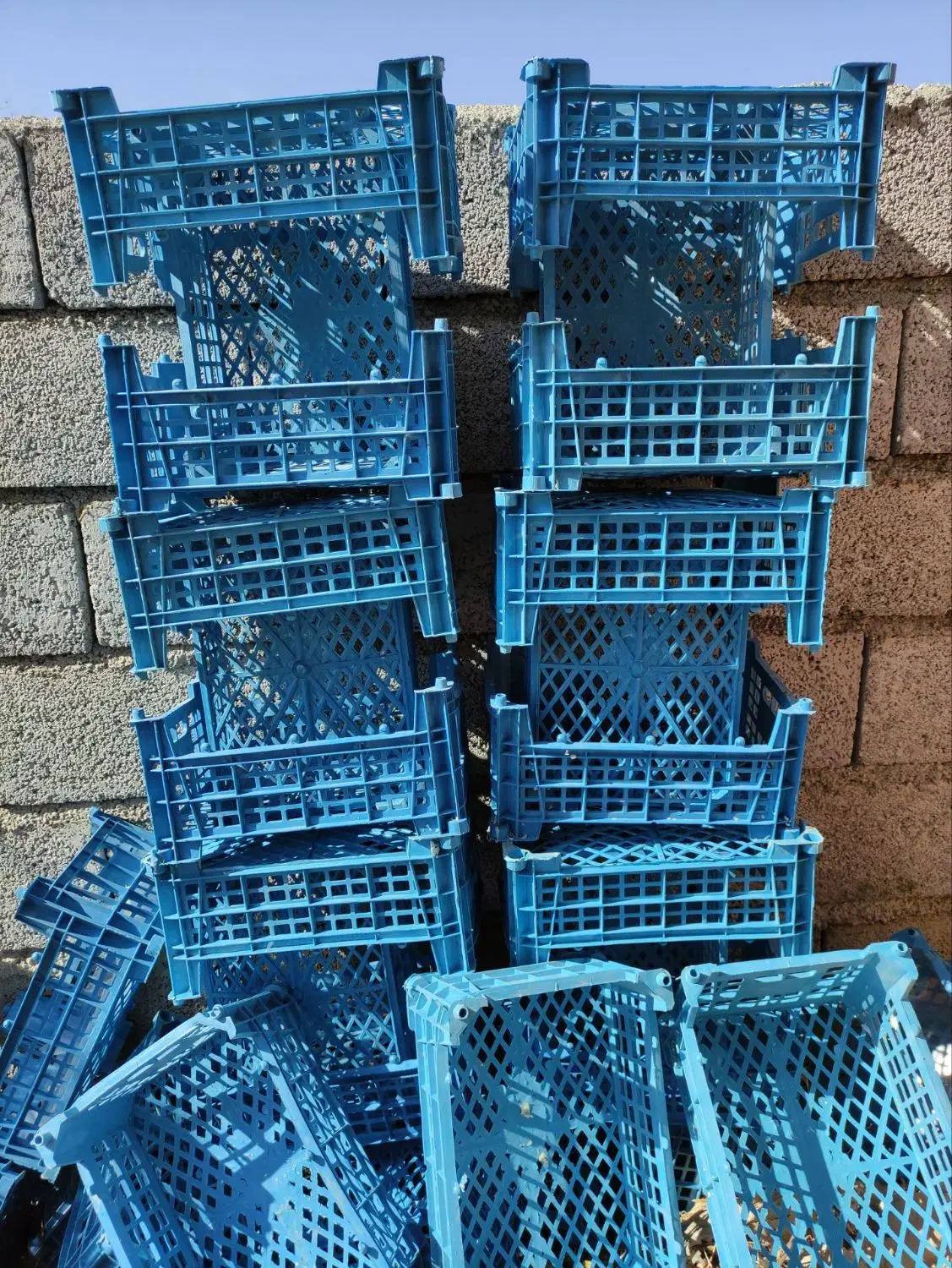 سبد پنج کیلویی مناسب سردخانه|ظروف نگهدارنده، پلاستیکی، یکبارمصرف|زنجانرود, |دیوار