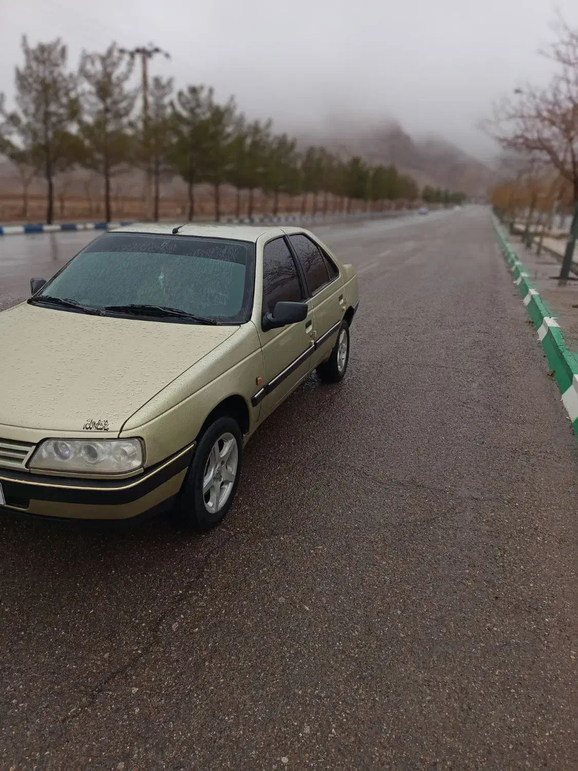 پژو 405|خودرو سواری و وانت|قائن, |دیوار