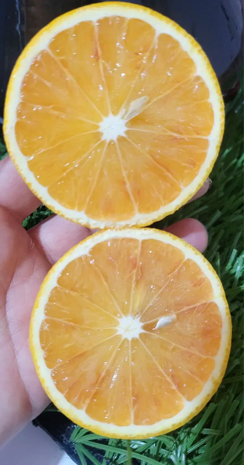 میوه کاملا ارگانیک با بهترین کیفیت|خوردنی و آشامیدنی|لیکک, |دیوار