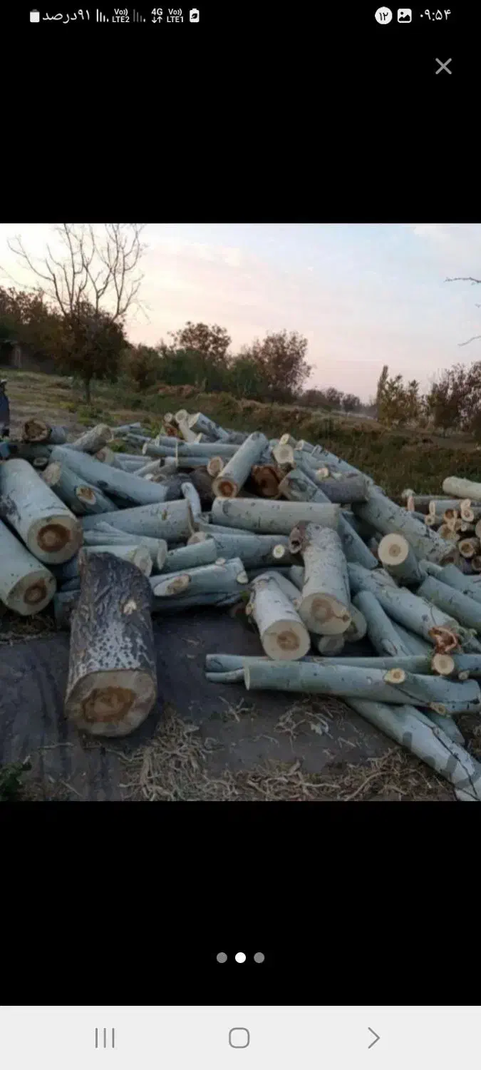 خریدچوب ودرخت قطع وهرس.حرس چوب سقفی|خدمات باغبانی و درختکاری|مشهد, دوست آباد|دیوار